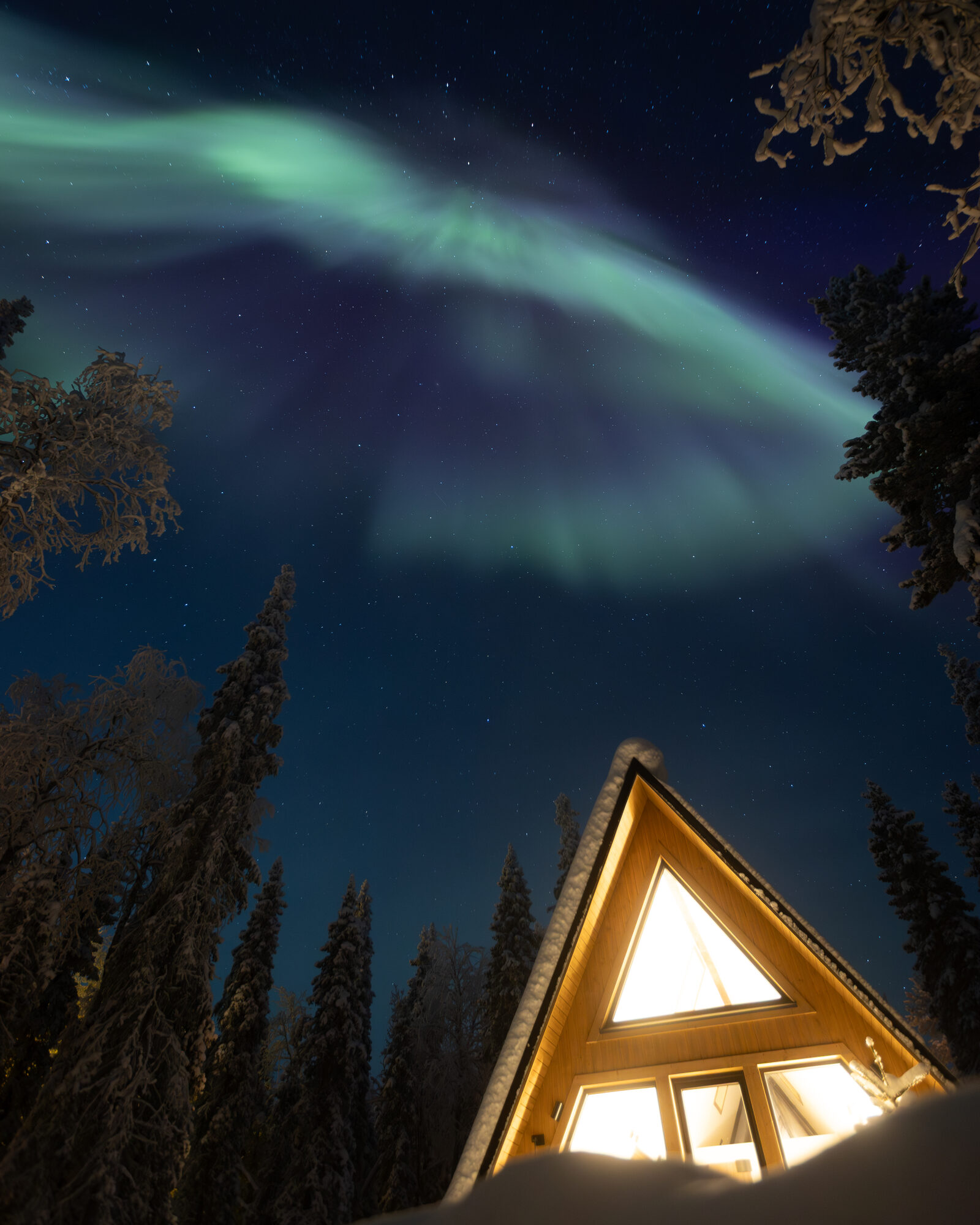 A strong aurora corona in green and pink rays pouring down the dark sky above silhouetted pines in Finnish Lapland.