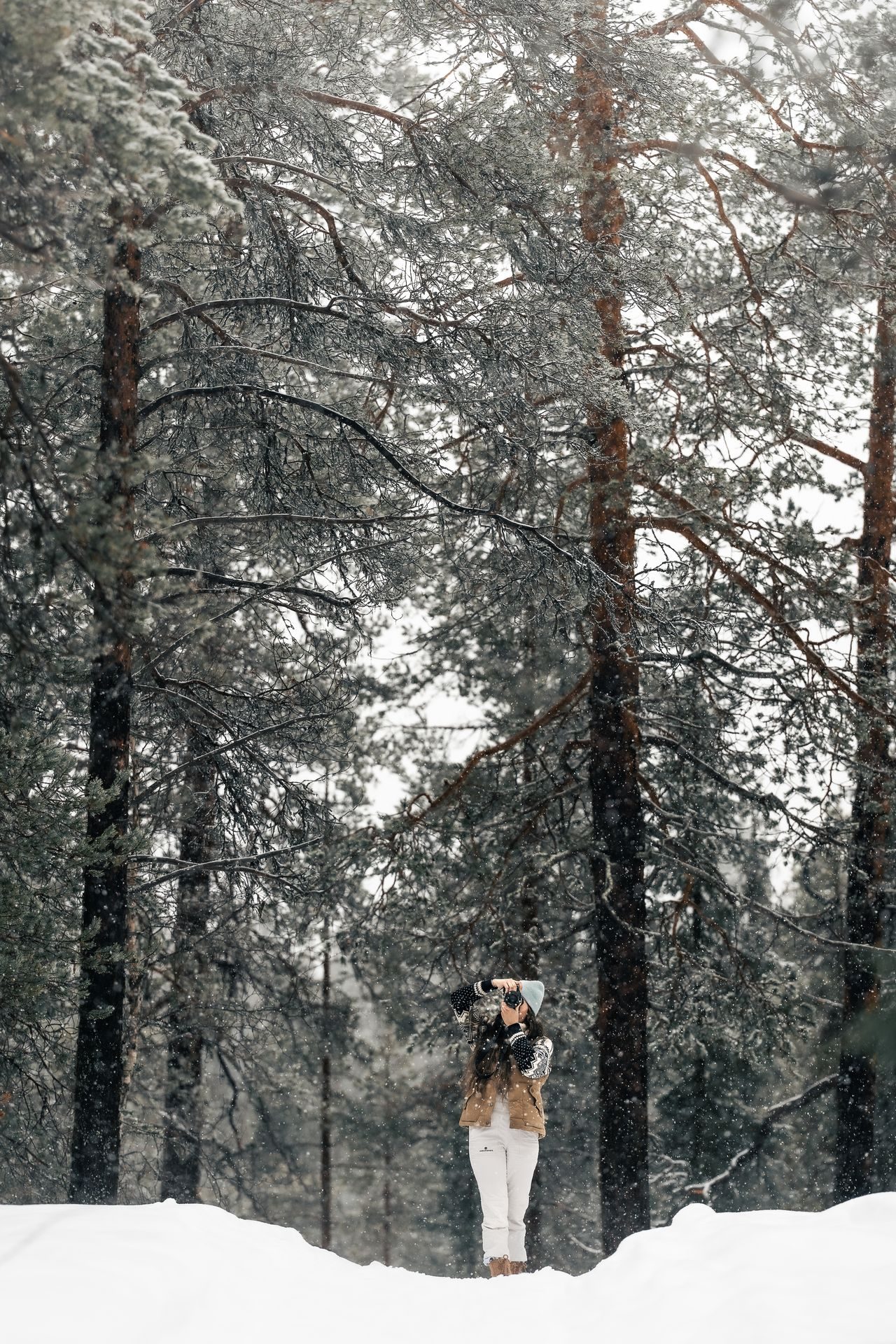 A photographer standing in deep snow among tall pine trunks, camera raised to the eye.