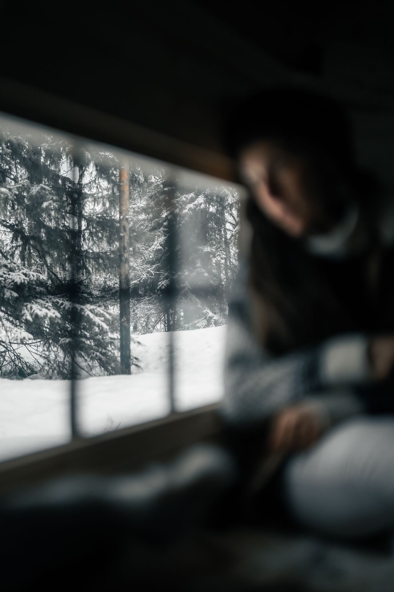 At the kota window, the snow-covered forest soft beyond the glass.