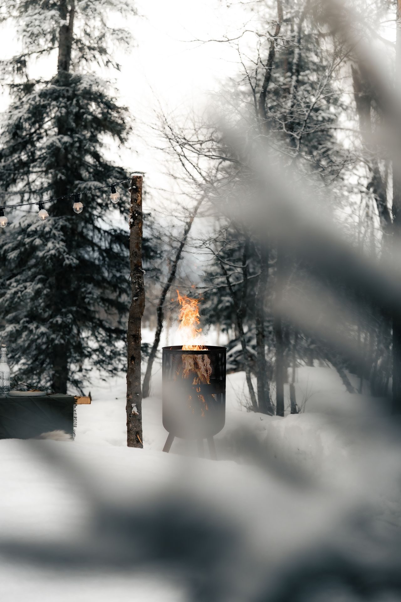 An outdoor fire burning in the snow at the edge of the forest, string lights warm in the trees beyond.
