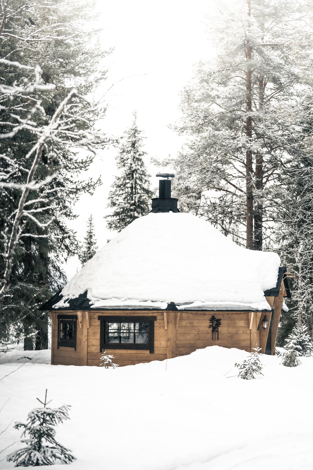 The wooden kota, its roof deep in snow, standing among tall pines in the Lapland forest.