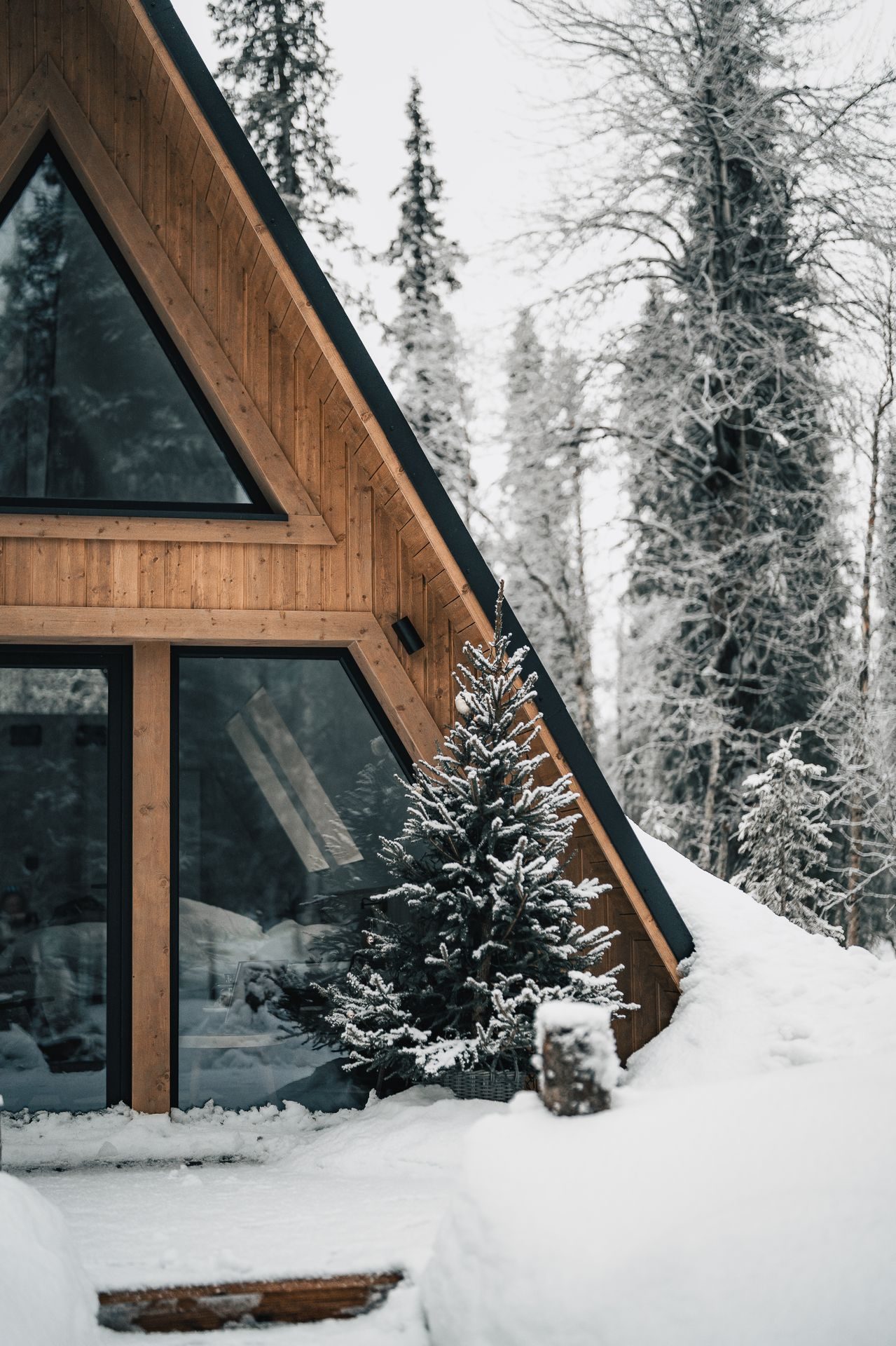 A quiet winter morning at Sixty Eight North in Finnish Lapland, the forest under fresh snow.