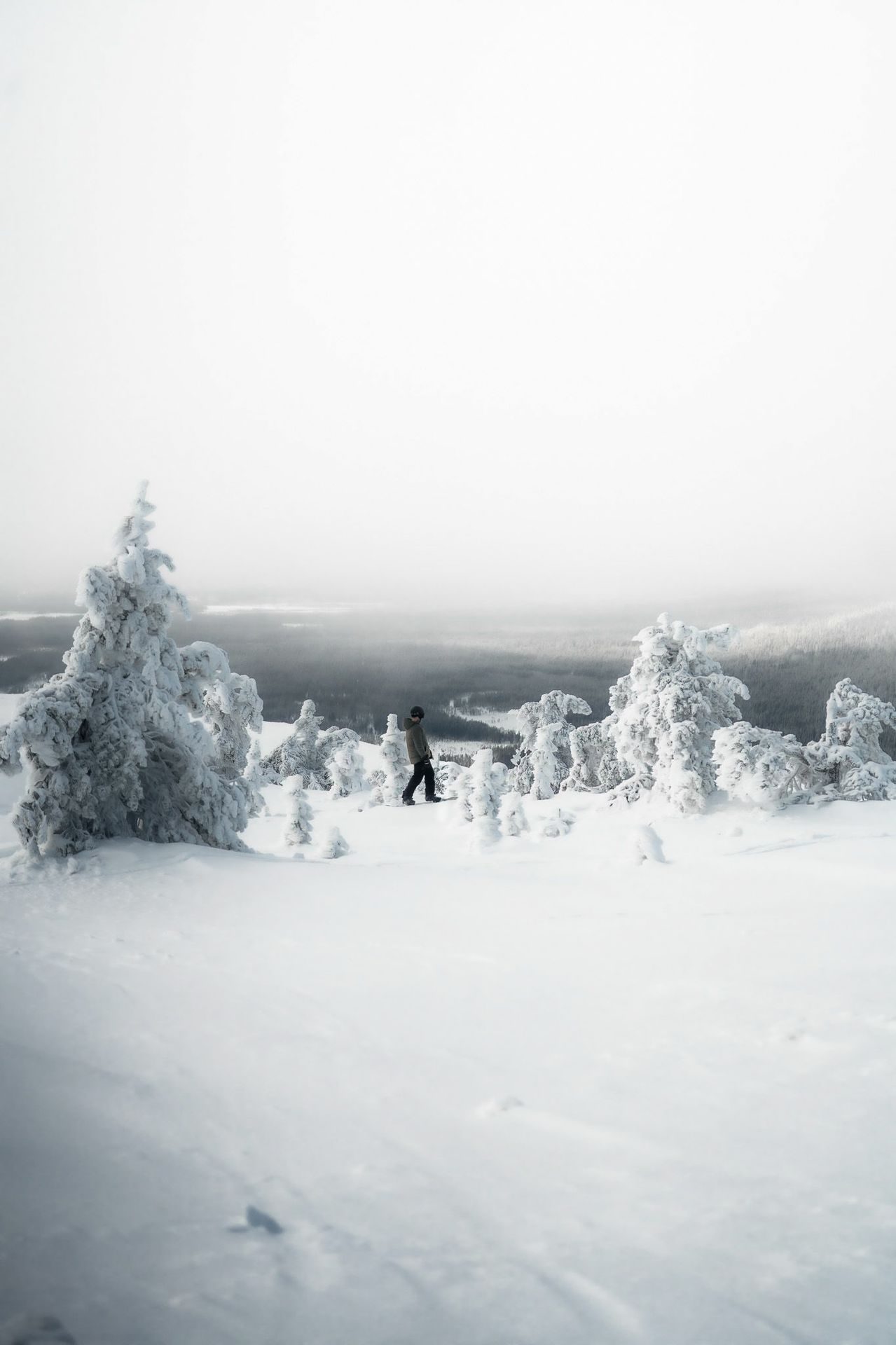 A solitary figure crossing the silent winter landscape at midday; no other guests in sight.