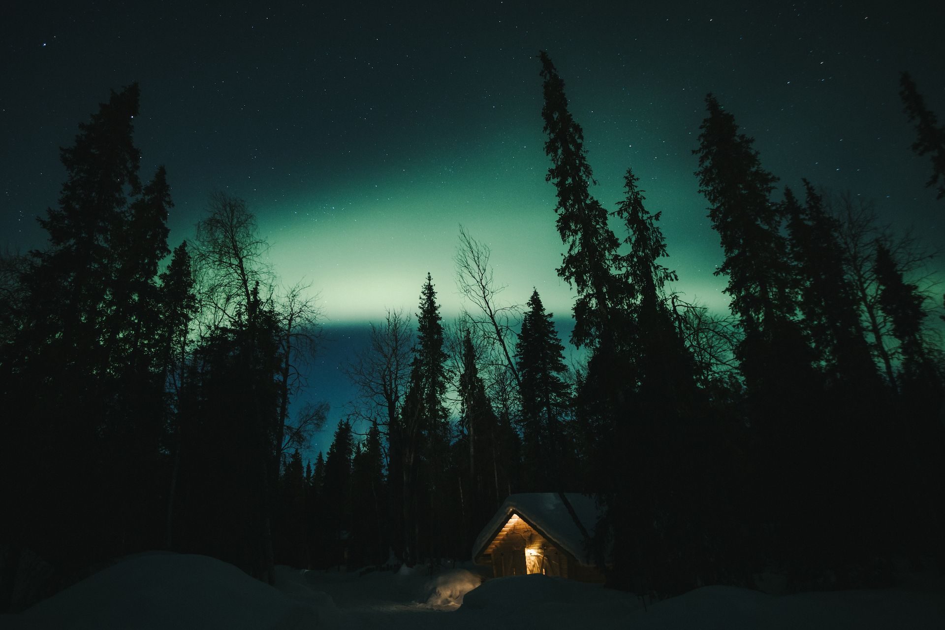A small wooden cabin glowing warm in the snow, arctic spruces silhouetted against an aurora-lit sky.
