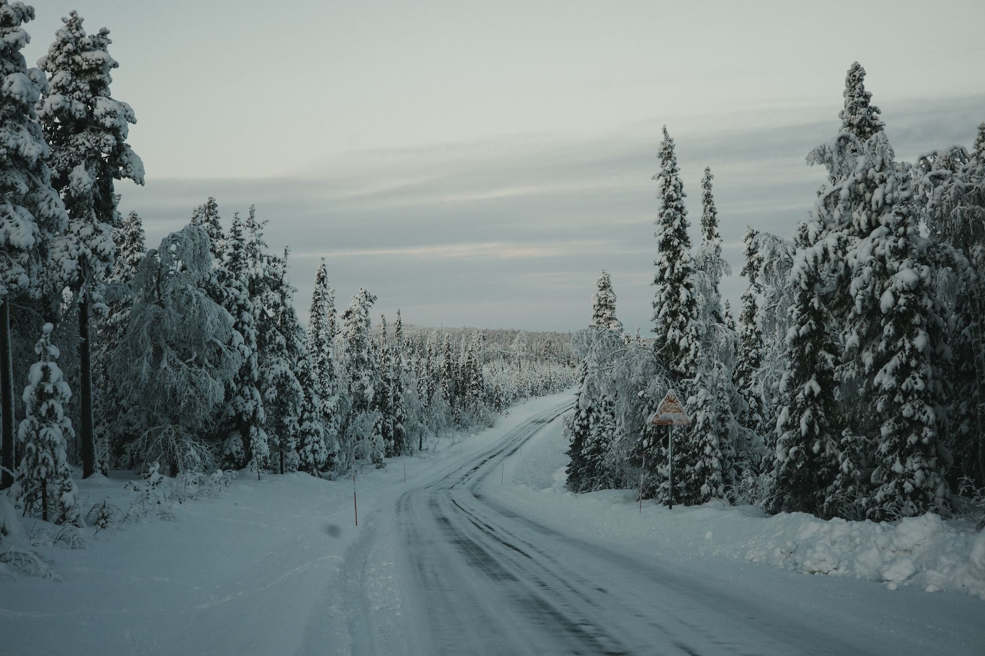 A long road curving through winter forest under a quiet sky.