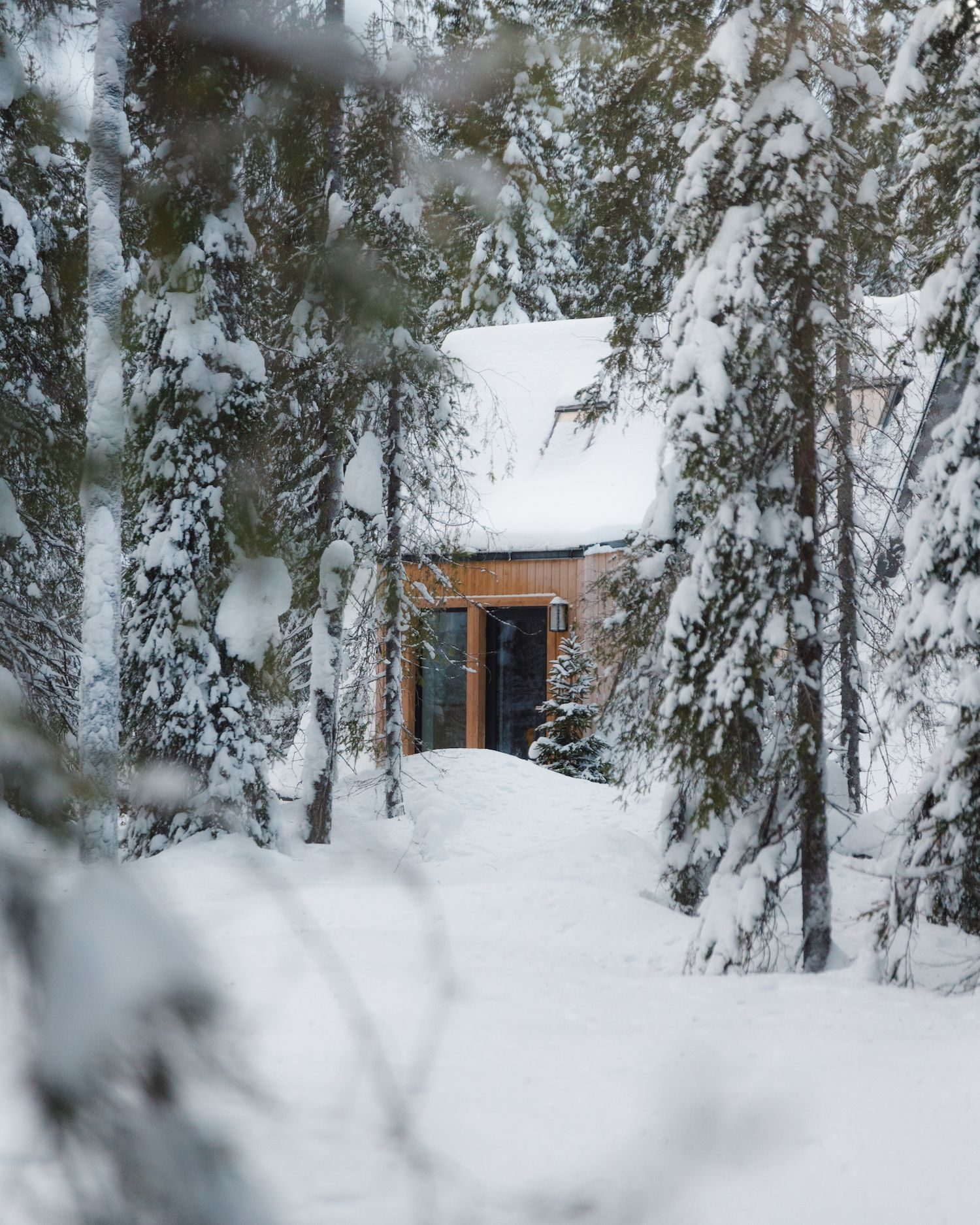 A forest cabin glimpsed through snow-laden pines, sitting at the end of a snowy clearing.