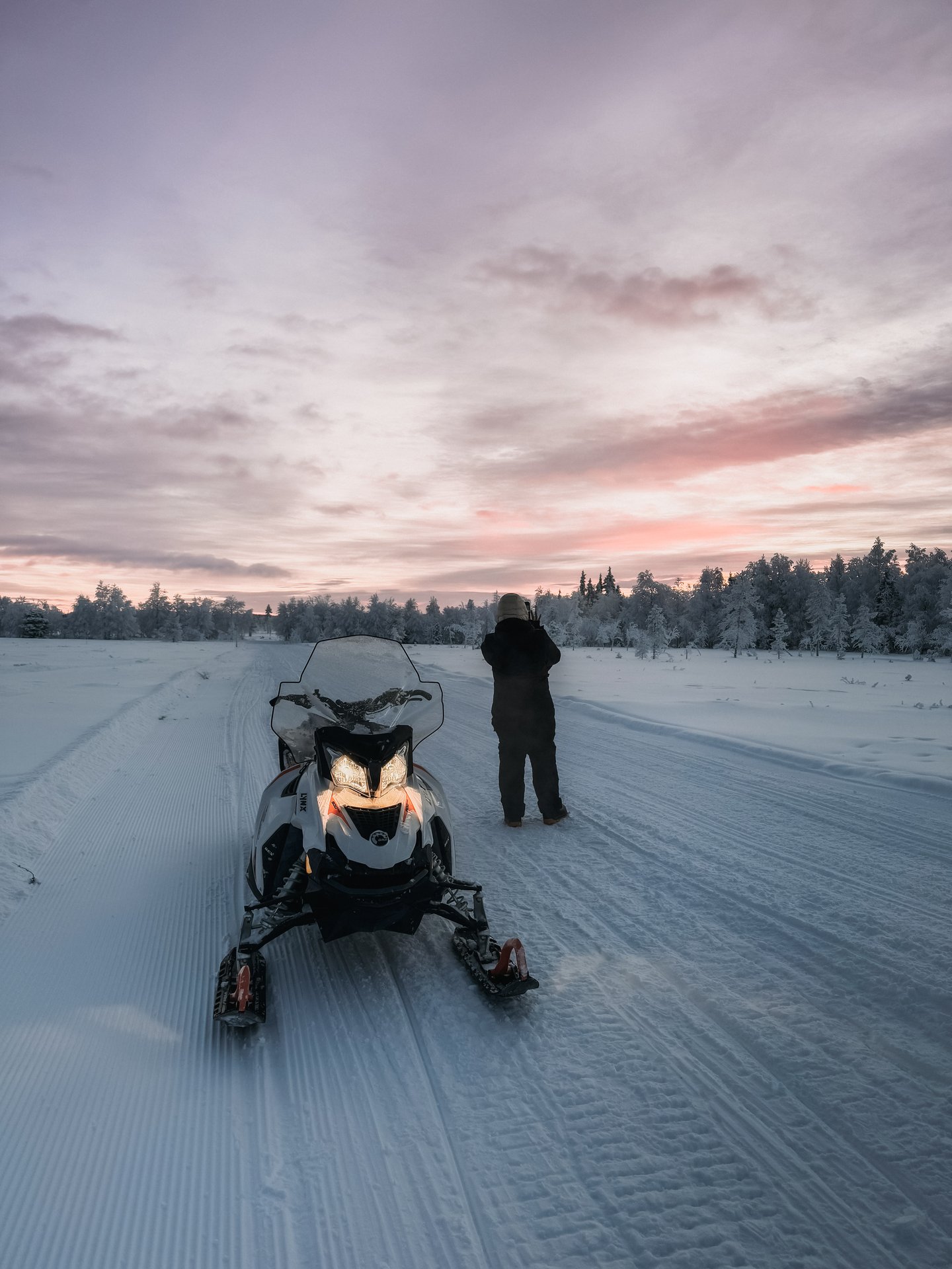 A snowmobile on a forest track, low sun behind the pines.