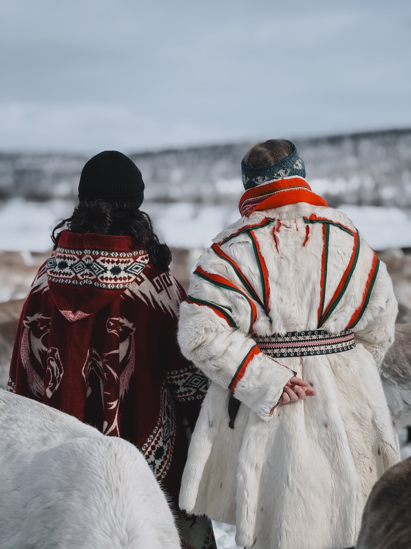A second beat of the Sámi family among the reindeer, the textures of gákti and reindeer fur in close detail.