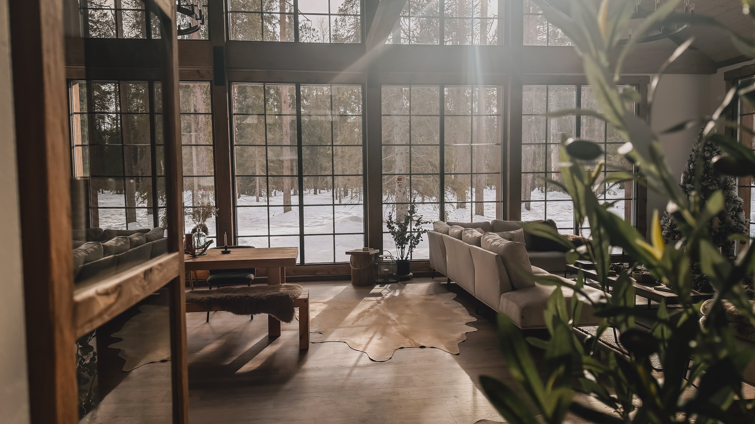 Inside the lodge at Sixty Eight North, the lounge looking out through tall mullioned windows onto snowy birch forest, cream sofas and a wooden coffee table in the foreground.
