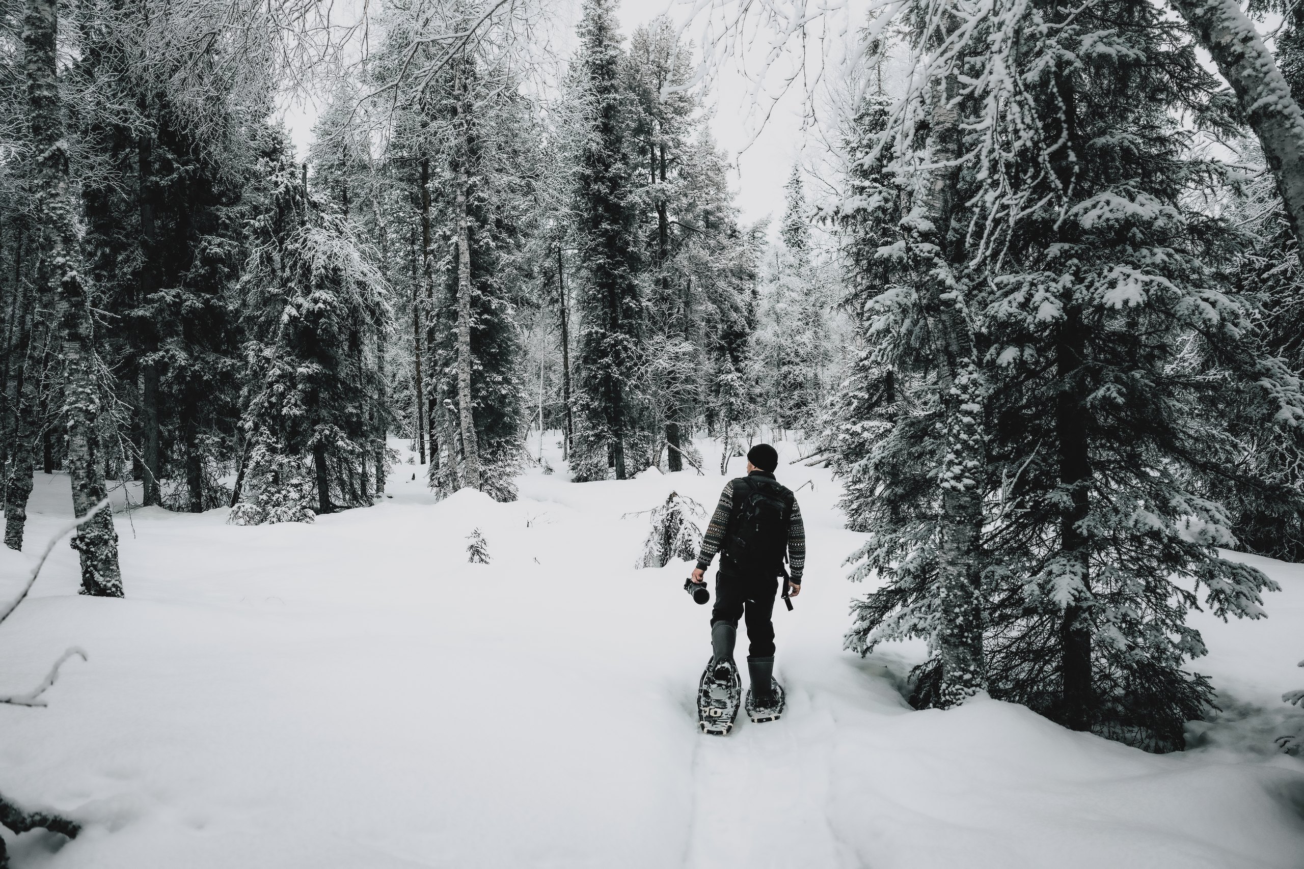 Two figures snowshoeing through a soft blue-hour forest.