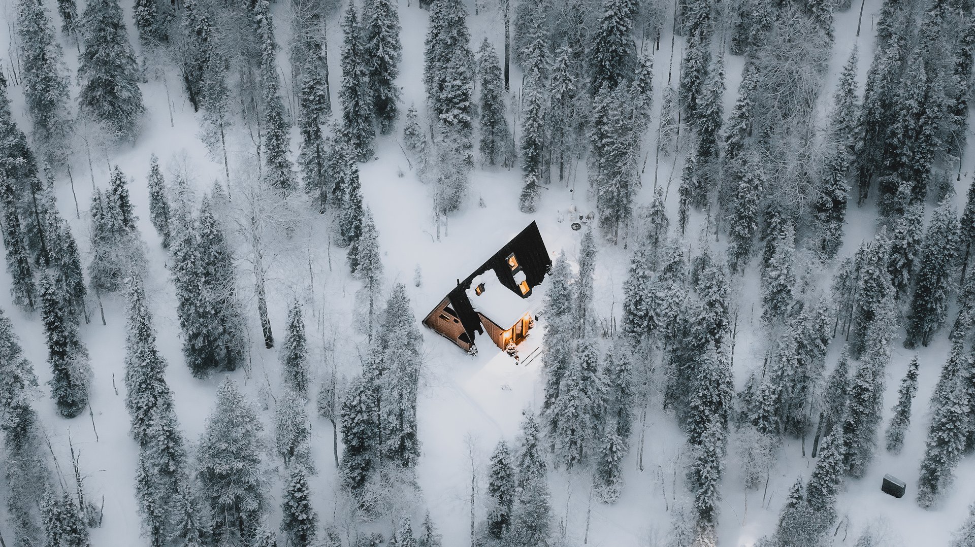 The forest cabins held in private old-growth pine forest at Sixty Eight North, Finnish Lapland.