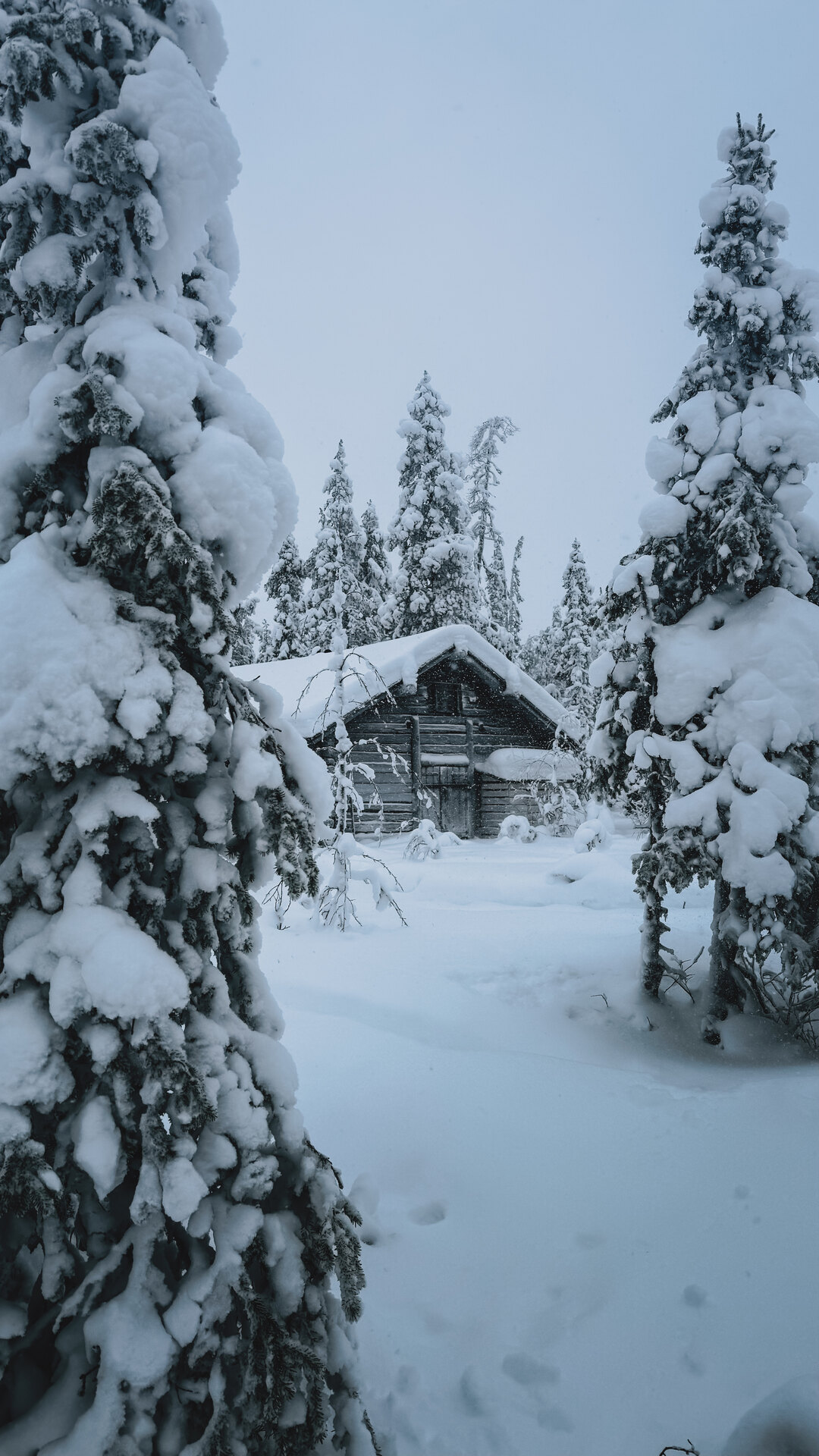 A wider view of the restored mill landmark held in winter forest.